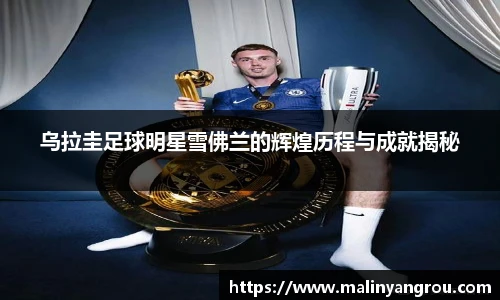 乌拉圭足球明星雪佛兰的辉煌历程与成就揭秘