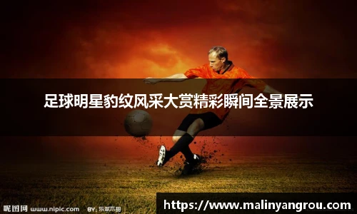 足球明星豹纹风采大赏精彩瞬间全景展示